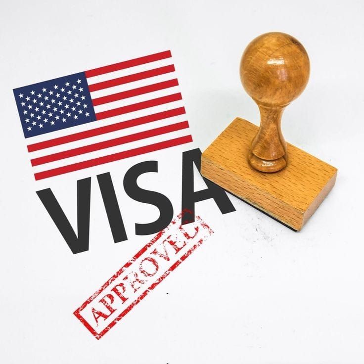 Buy Visa Online - Premium Novelty Visa